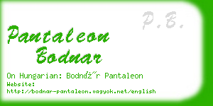 pantaleon bodnar business card